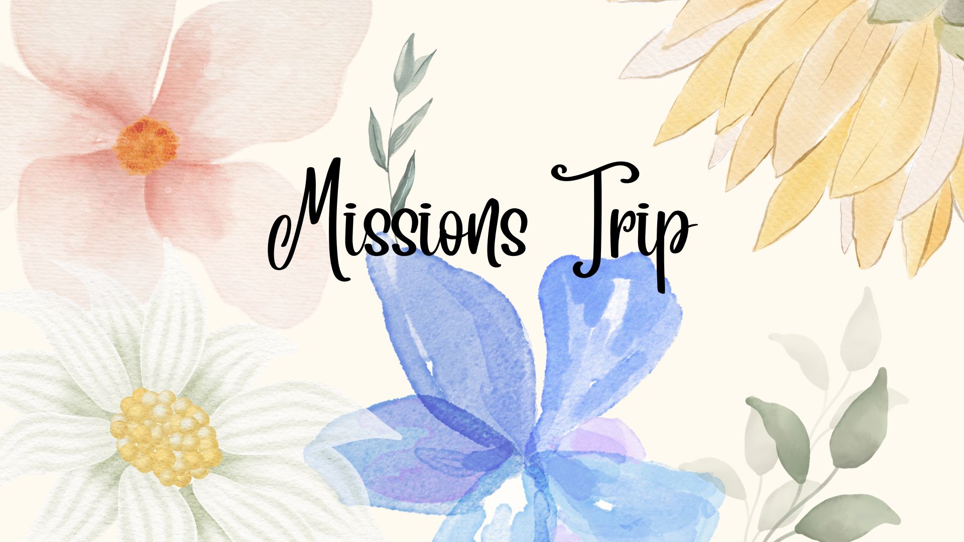 Missions Trip